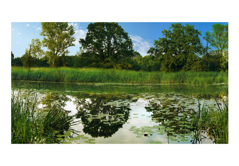 Carta da Parati Fotomurale XXL - The Magic Pond II 600x280 cm Erroi-2