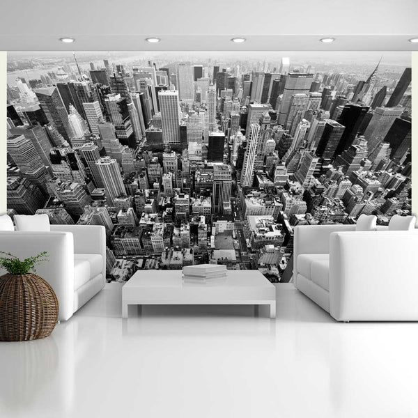 Papier Peint Fresque - USA, New York - Noir Et Blanc 450x270cm Erroi acquista