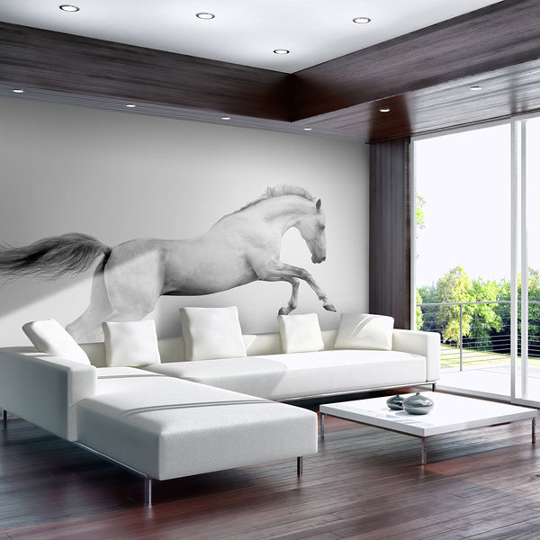 Papier Peint Fresque - Galop Blanc 450x270cm Erroi online