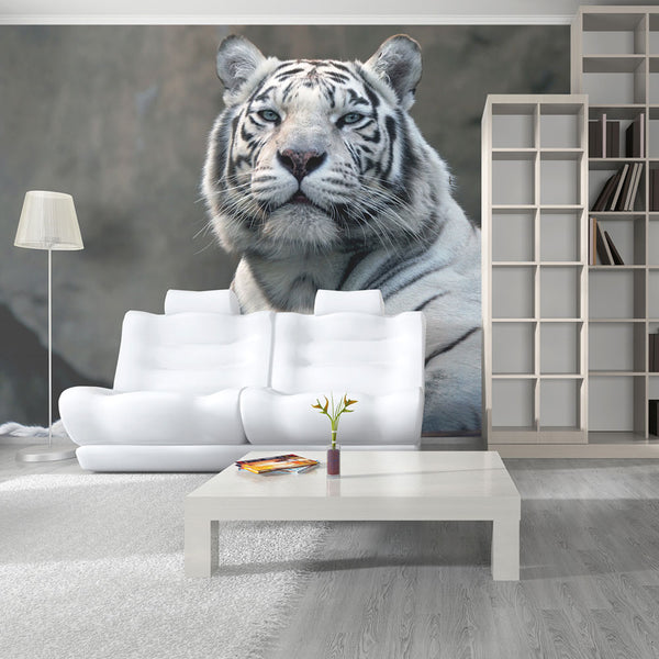 Photo Papier Peint Mural - Tigre du Bengale Dans Le Zoo 450x270cm Erroi prezzo