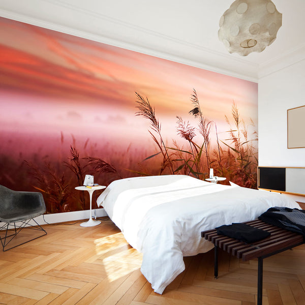 Papier Peint Photo Mural - Prairie De Campagne Au Lever Du Soleil 450x270cm Erroi acquista