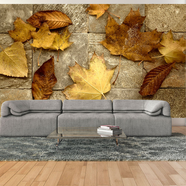 Papier Peint Fresque - Prélude d'Automne 450x270cm Erroi online