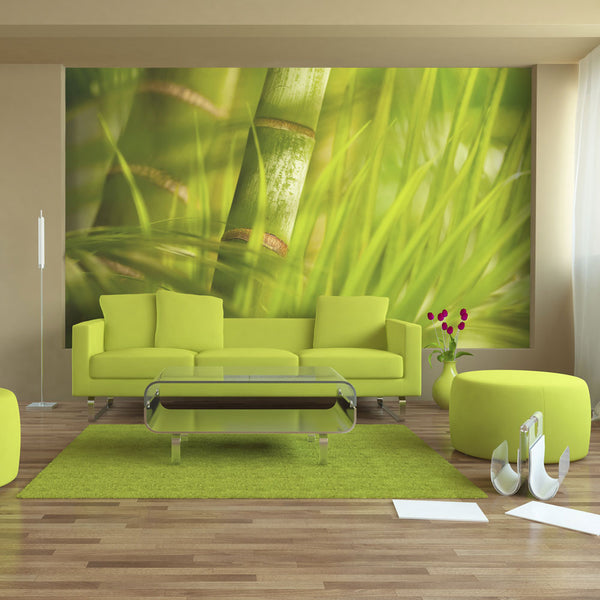 Papier Peint Fresque - Bambou - Zen Nature 450x270cm Erroi online