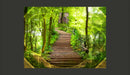 Fotomurale - Mystery Of The Forest 350X270 cm Carta da Parato Erroi-2