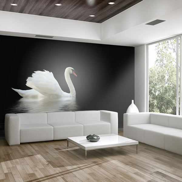 Papier Peint Fresque - Papier Peint Cygne Noir Et Blanc Erroi online