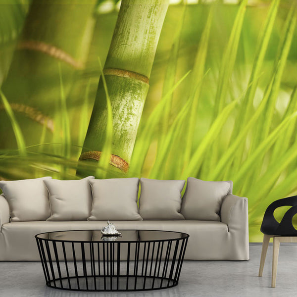 sconto Papier Peint - Bambou - Nature Zen Wallpaper Erroi