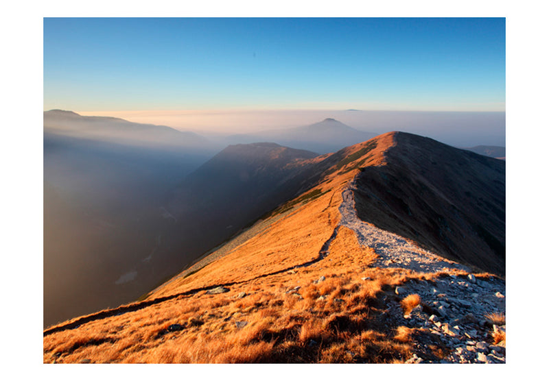 Carta da Parati Fotomurale - Sentiero tra i Monti Tatra 200x154 cm Erroi-2