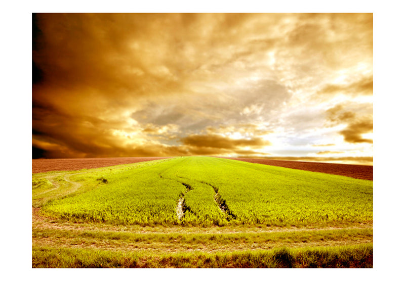 Carta da Parati Fotomurale - Campi Agricoli 200x154 cm Erroi-2