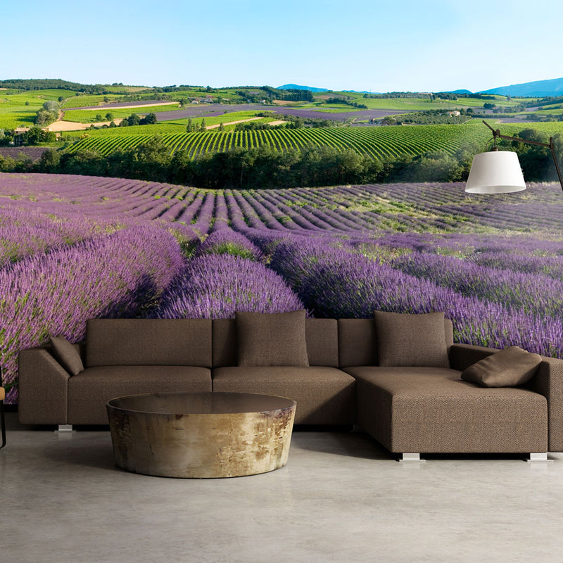 Fotomurale - Campi di Lavanda 200X154 cm Carta da Parato Erroi-1