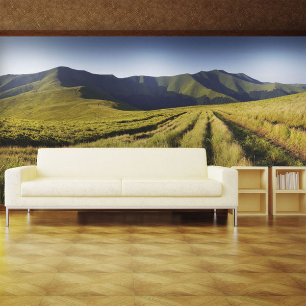 Papier Peint Photo Mural - Paysage de Montagne 200x154cm Erroi acquista