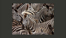 Fotomurale - Branco di Zebre Ipnotizzante 200X154 cm Carta da Parato Erroi-2