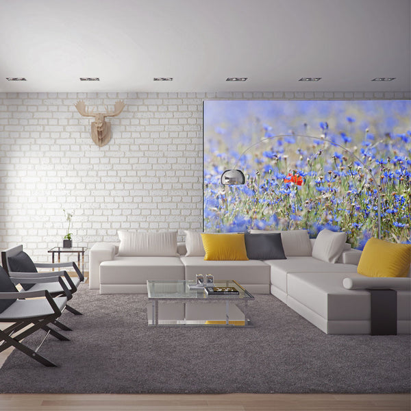 prezzo Photo Papier Peint Mural - Bleuet Dans La Couleur Du Ciel 200x154cm Erroi