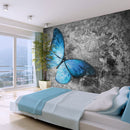 Fotomurale - Blue Butterfly 200X154 cm Carta da Parato Erroi-1