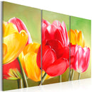 Quadro - I Tulipani Sbocciano Di Nuovo Erroi-1