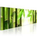 Quadro - Bamboo Gate Erroi-1