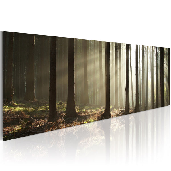 sconto Cadre - Impression Sur Toile - Matin Dans Les Bois 120x40cm Erroi