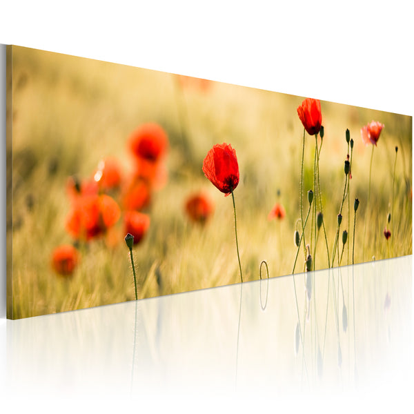 prezzo Affiche - Coquelicots de printemps Erroi