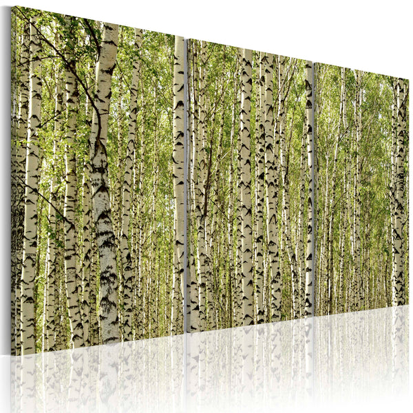 Cadre - Forêt de bouleaux 60x40cm Erroi sconto