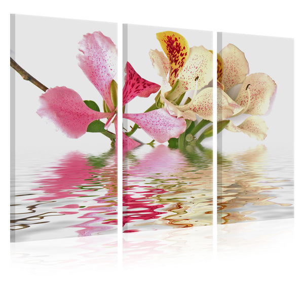 Peinture - Orchidea A Pois-Pallini Erroi sconto