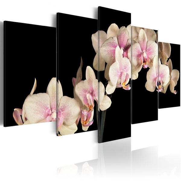 sconto Tableau Sur Toile - Orchidée Sur Fond Contrasté Erroi