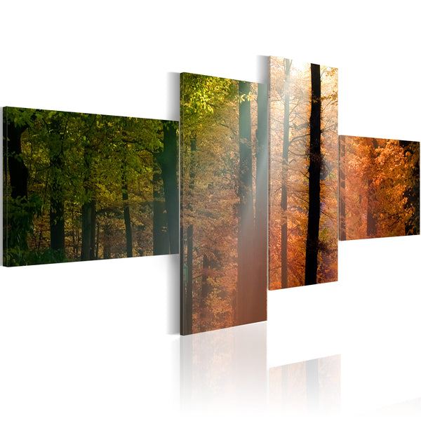 Tableau sur toile - Rayons de soleil parmi les arbres Erroi online