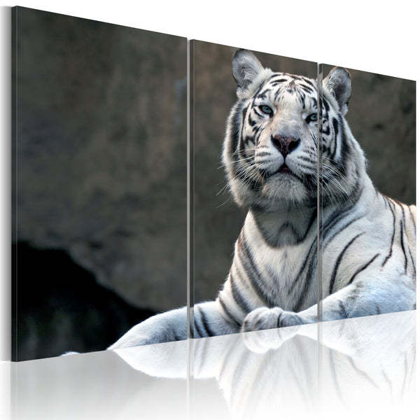 Affiche - Tigre Blanc Erroi sconto