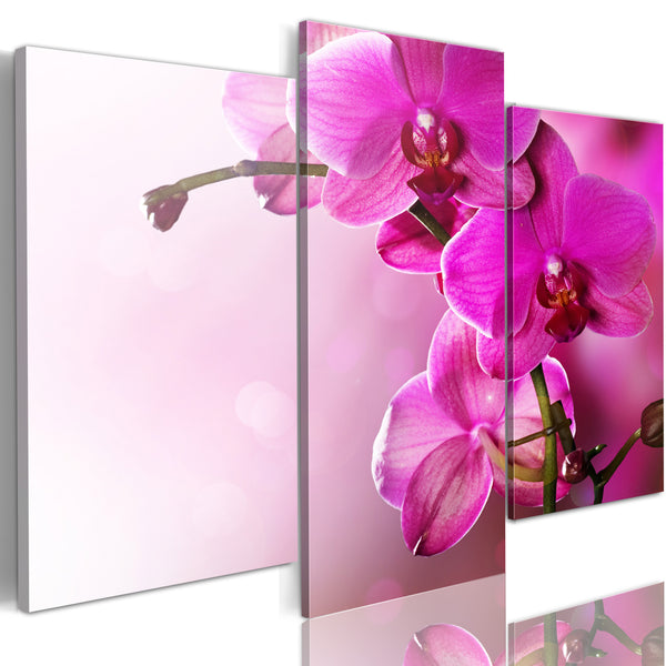 prezzo Impression sur toile - Erroi Orchidée Rose Foncé