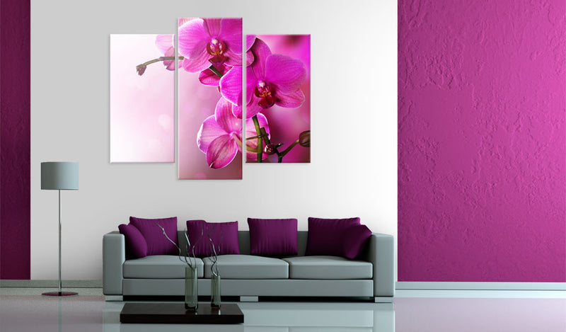 Quadro - Orchidea Color Rosa Scuro 60X50Cm Erroi-2