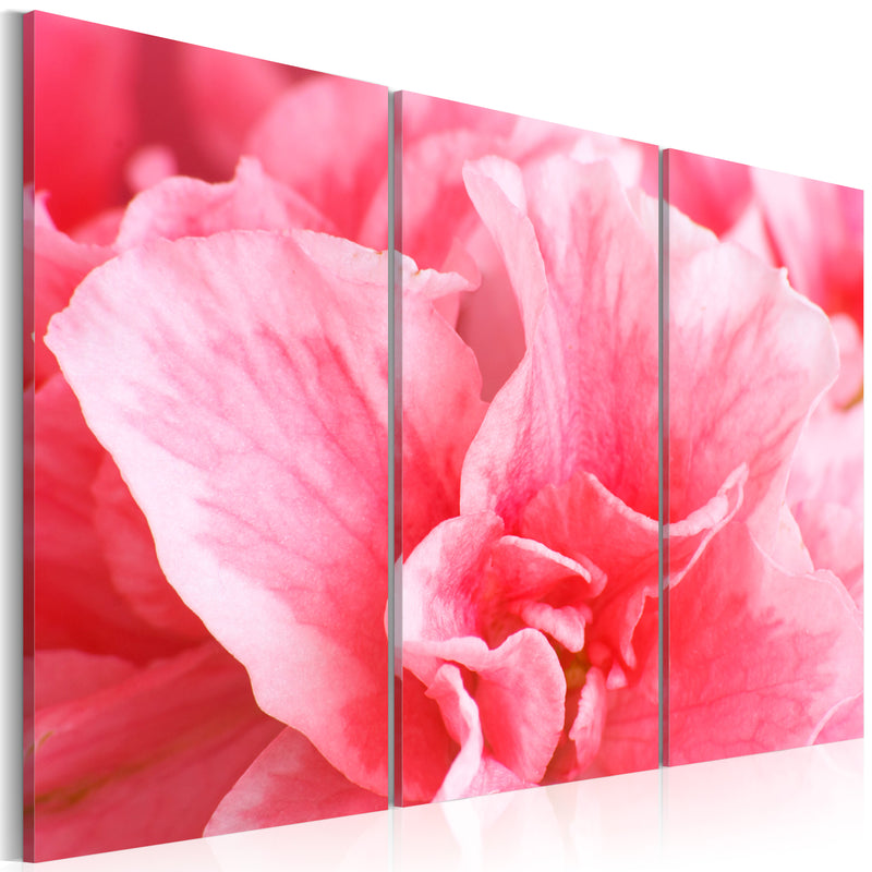 Quadro - Azalea Delicata 60x40cm Erroi-1