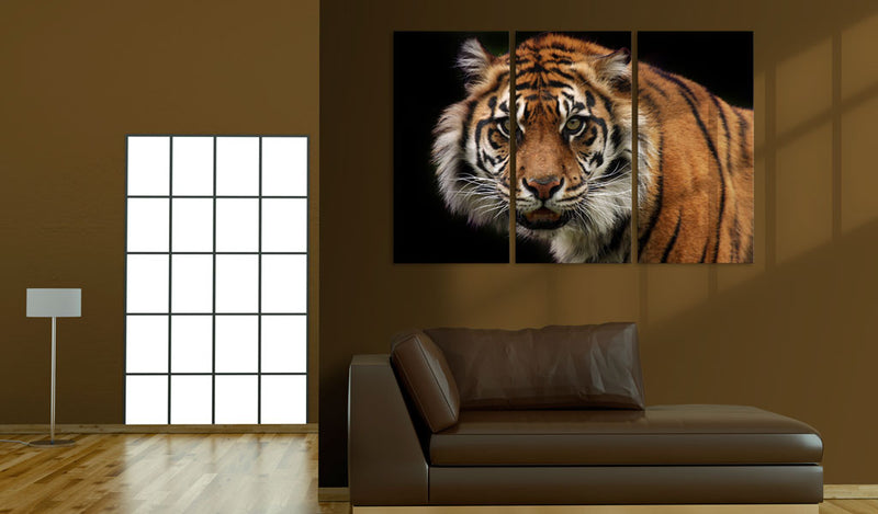 Quadro - Tigre Predatrice 60X40Cm Erroi-2