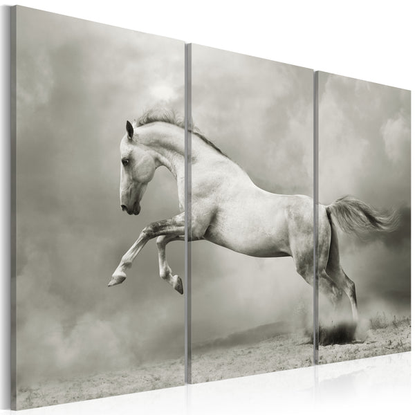 online Tableau sur toile - Cheval blanc en mouvement Erroi