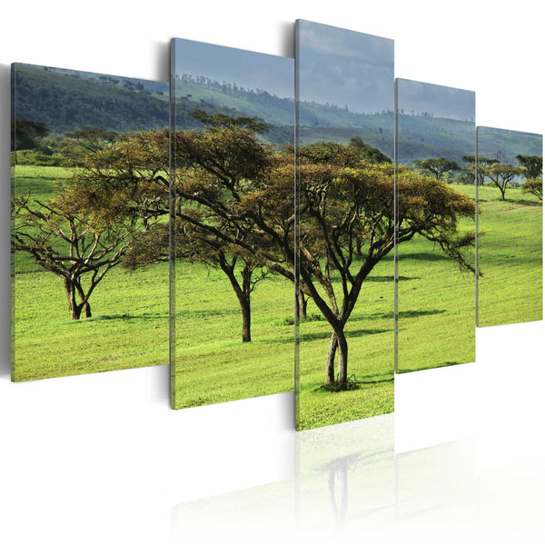 sconto Affiche - Africa Green Erroi