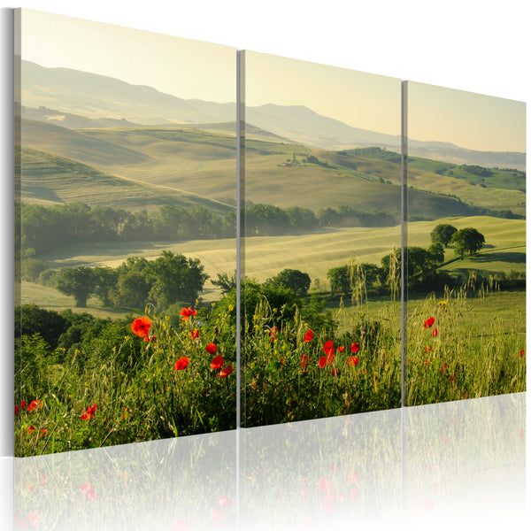 Impression sur toile - Coquelicots sur les collines toscanes Erroi sconto