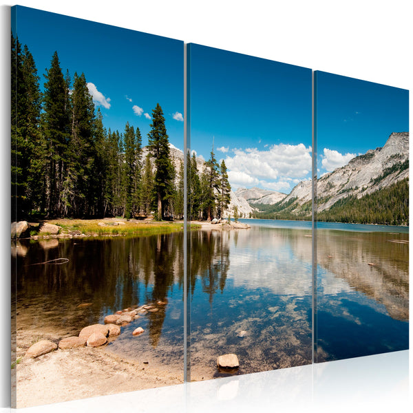 Impression sur toile - Montagnes, arbres et lac cristallin Erroi online