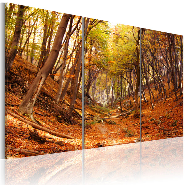 Photo - Ravin d'automne Erroi sconto