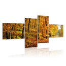 Quadro - Vialetto Autunnale Assolato 100X45Cm Erroi-1