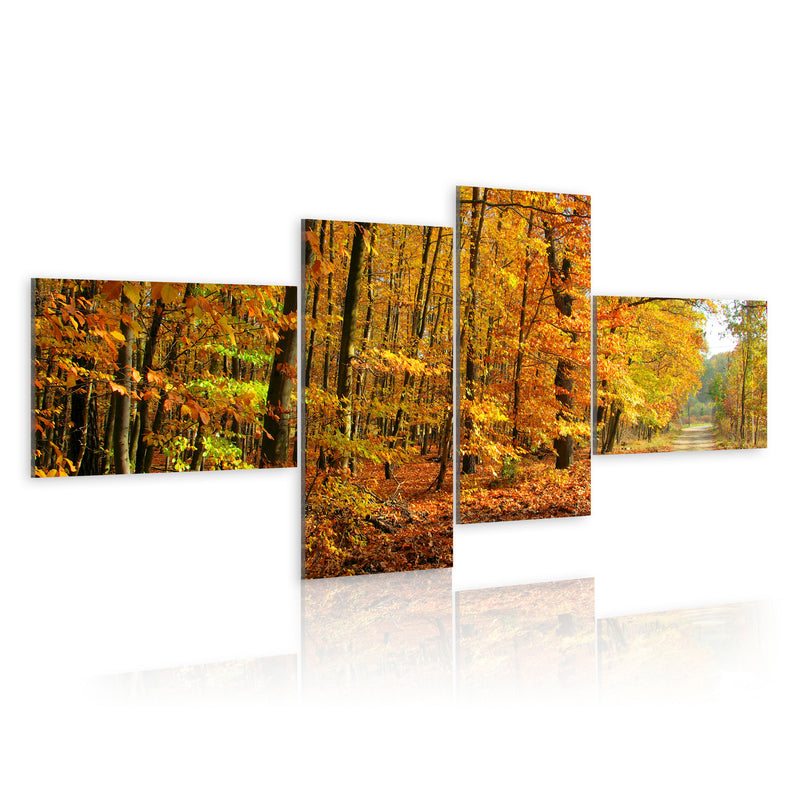 Quadro - Vialetto Autunnale Assolato 100X45Cm Erroi-1