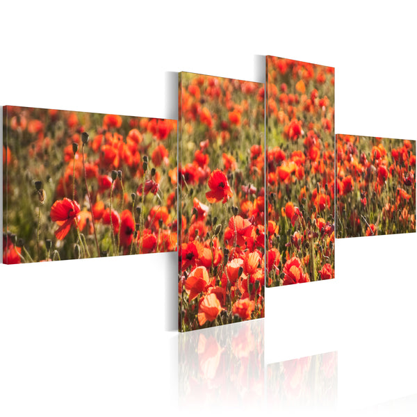 Affiche - Poppies Partout Erreurs prezzo