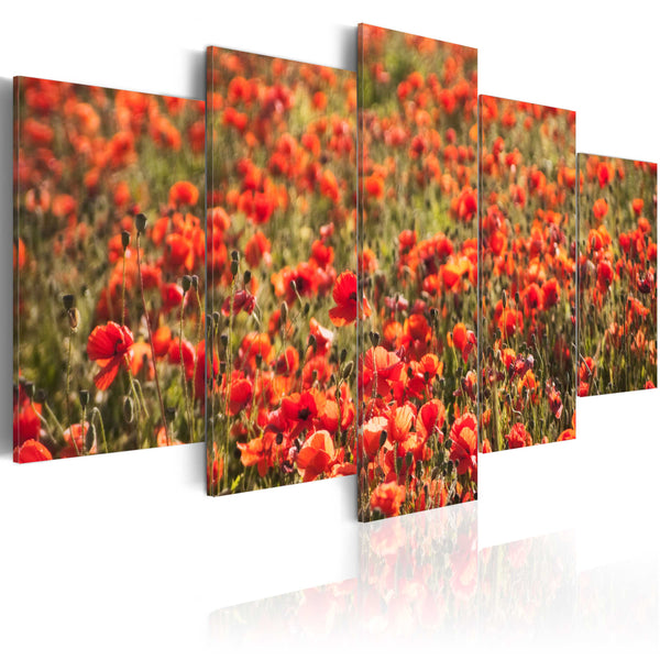 Tableau sur toile - Coquelicots rouges sur une herbe verte Erroi online