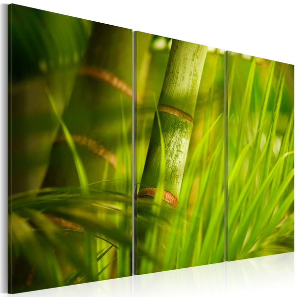 Affiche - Vert Foncé Des Herbes Tropicales Erroi online