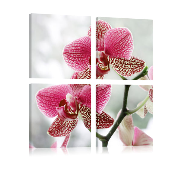 Tableau sur toile - Fantaisie Orchidée Erroi online