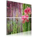 Quadro - Bambù E Orchidea Erroi-1