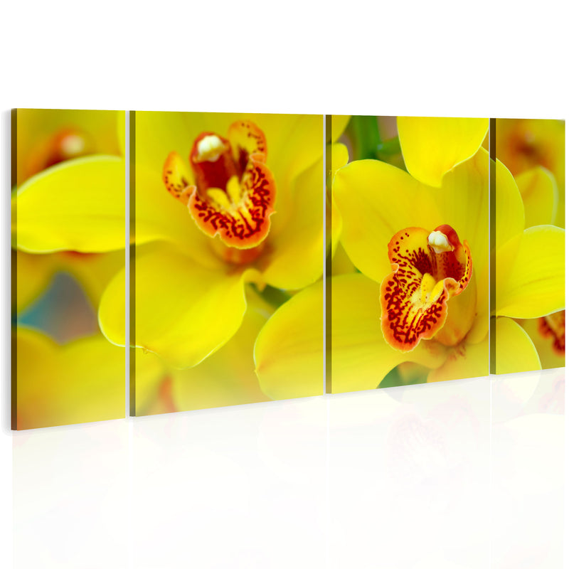 Quadro - Orchids - Intensity Of Yellow Color 60X30Cm Erroi-1