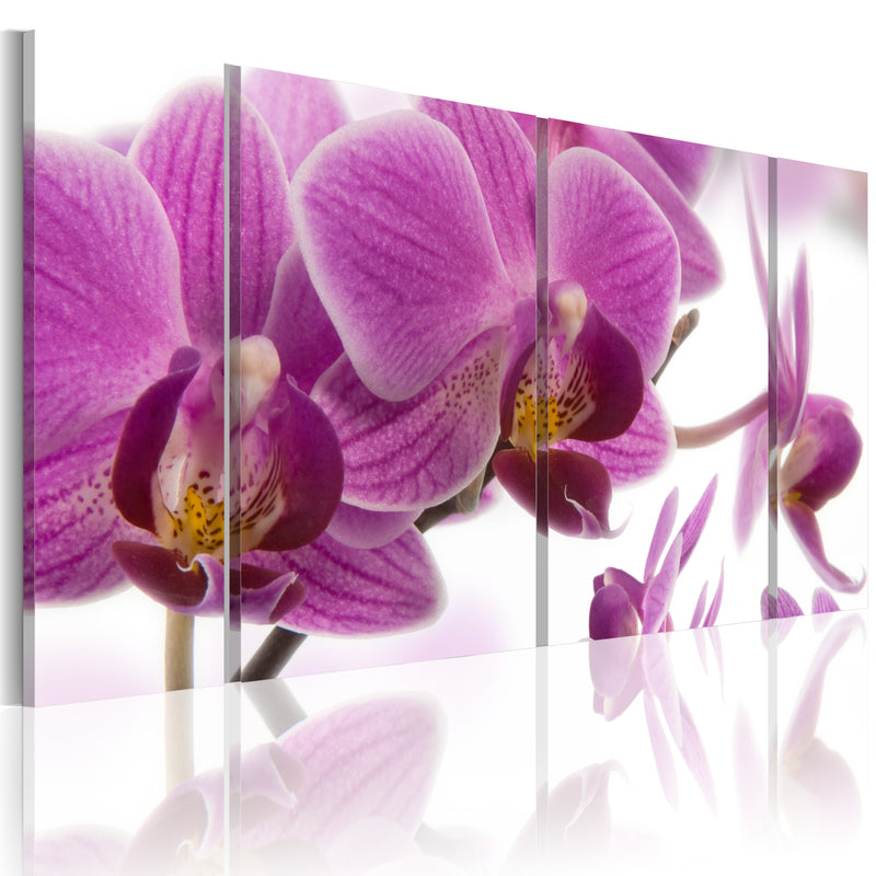 Quadro - Marvelous Orchid 60X30Cm Erroi-1