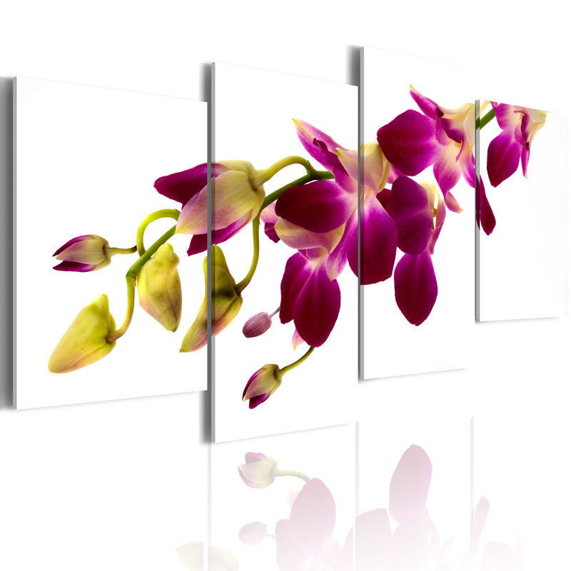 Quadro - Splendore Dell'Orchidea 80X45Cm Erroi-1