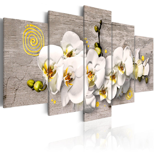 acquista Affiche - Sunny Orchids - 5 Pièces Erreurs