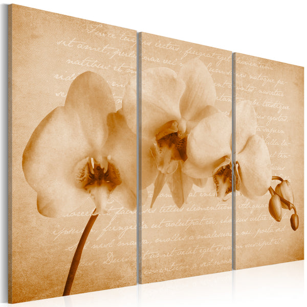 acquista Cadre - Orchidée - Vintage 60x40cm Erroi