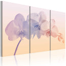 Quadro - Orchid Spectrum 60x40cm Erroi-1