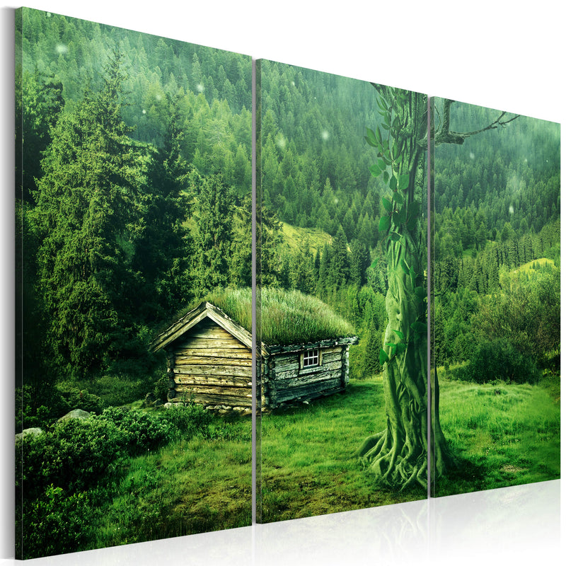 Quadro - Ecosistema Forestale 60X40Cm Erroi-1