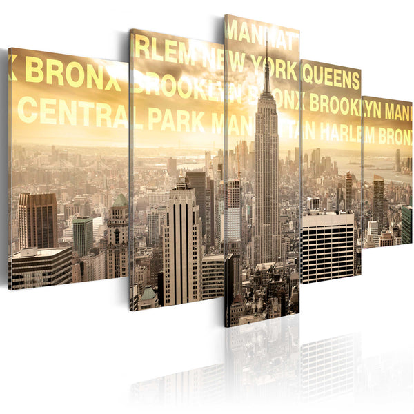 acquista Affiche - Erreurs de Manhattan, Queens, Bronx, Central Park